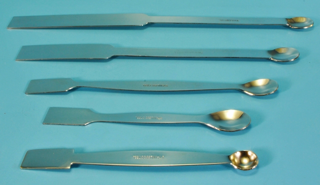 Large deals lab spatula
